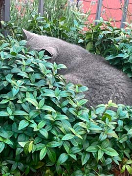 Fotografie k článku