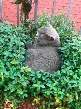 Fotografie k článku