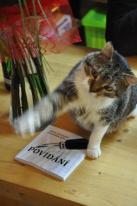 Povídání - F. Jůza, A. Chytková